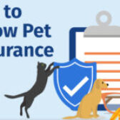 Get To Know Pet Insurance