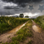 Potholes & Mud Season: Surviving New England’s Transitions