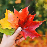Leaf Peeping in New England: Perfect Fall Weekend Road Trip